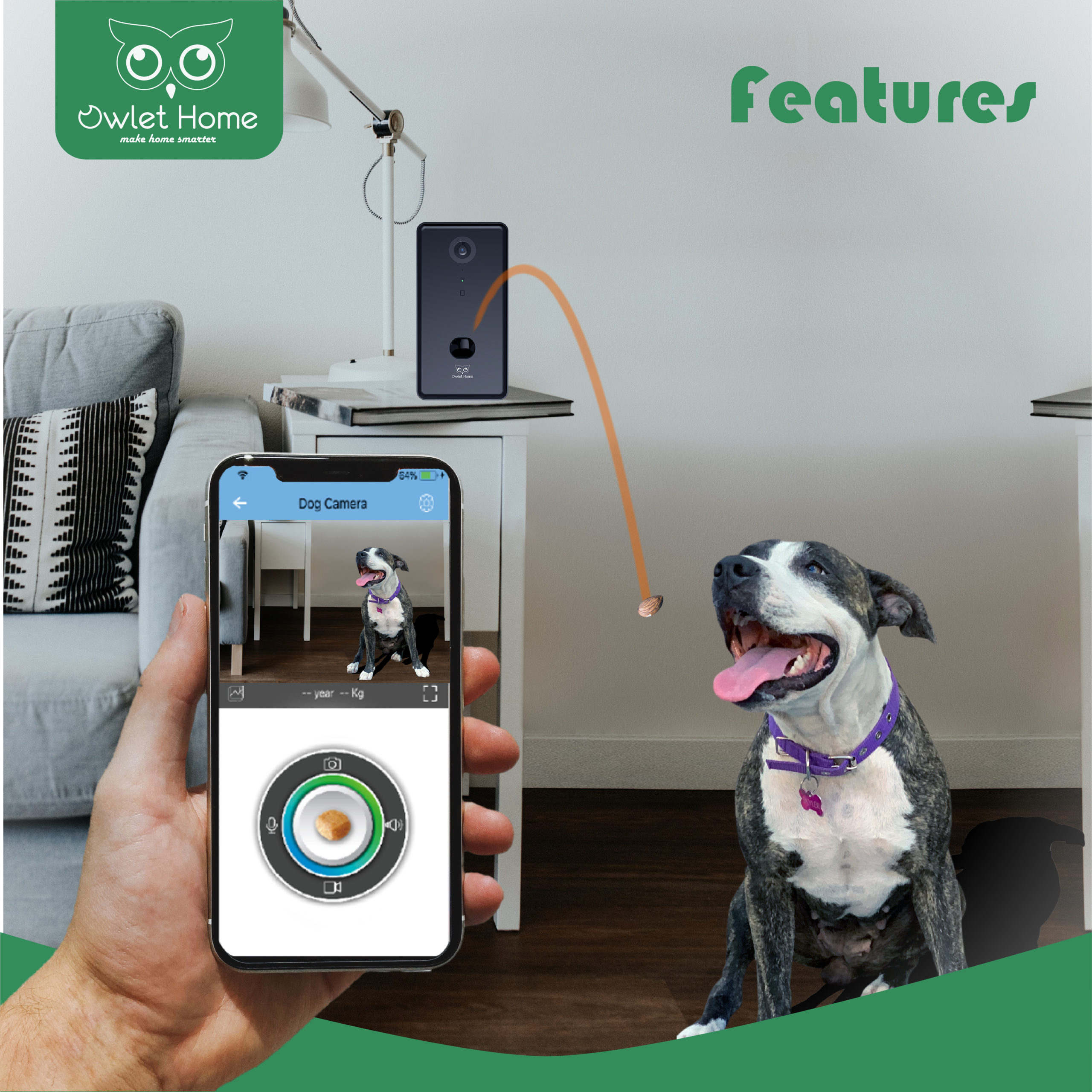 Owlet Home Pet Camera with Treat Dispenser, Petco