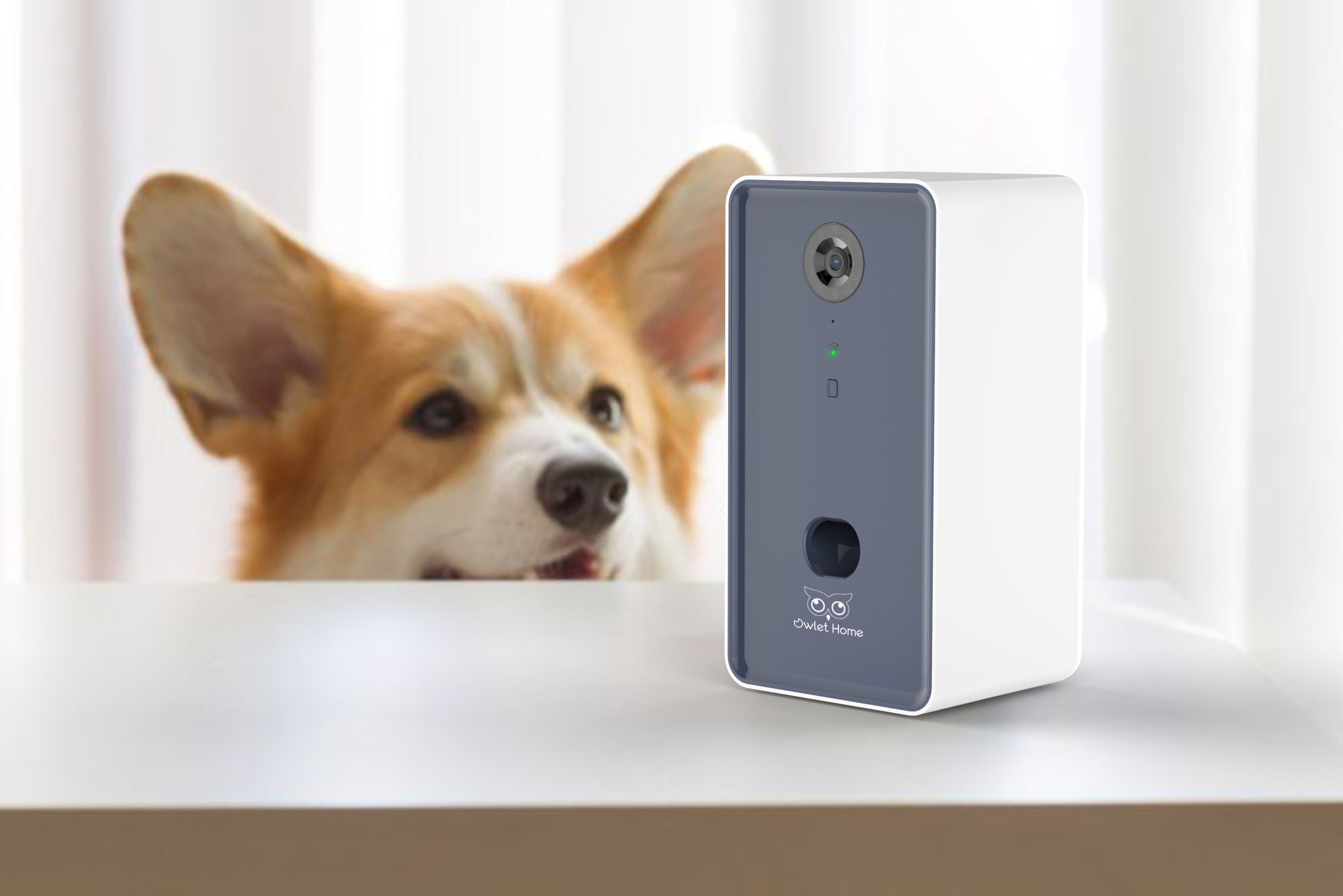 TitBit Interactive Dog Camera and Treat Dispenser WiFi